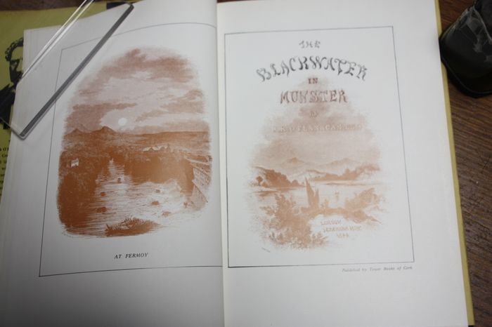 The river Blackwater in Munster