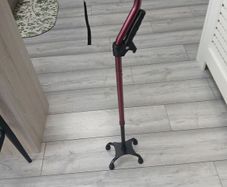 walking aid