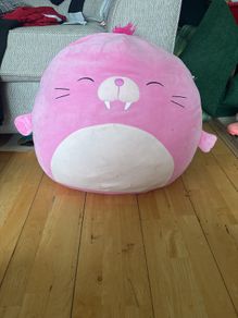 Pink walrus squish mellow