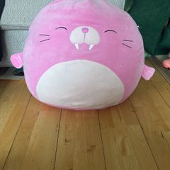 Pink walrus squish mellow
