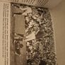 Jack Mahons Action Replay G.a.a Centenary 1984      Gaa Book Image 9