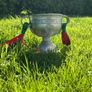 sam maguire Image 2