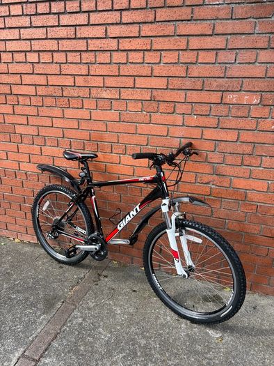 giant mountain bike