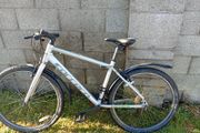 carrera mountain bike