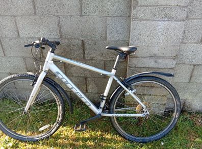 carrera mountain bike