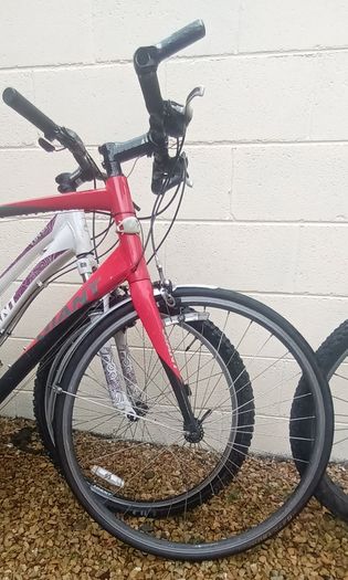 Giant FCR2 with Carbon fork