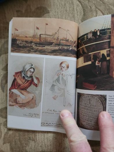 The Irish Famine. An Illustrated History By Helen Litton. First Edition Paperback In Good Condition.