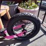 Trek Kickster Balance Bike Image 4