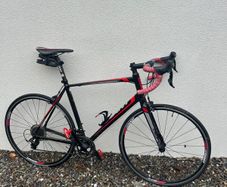Giant road bike Large