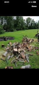 firewood