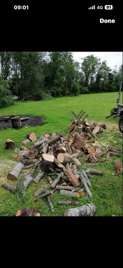 firewood
