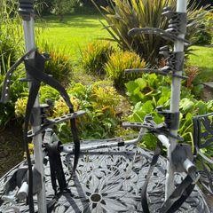 Thule Bike Rack for saloon cars.
