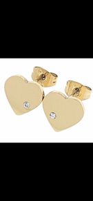 Stainless steel earrings