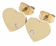 Stainless steel earrings