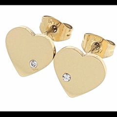 Stainless steel earrings
