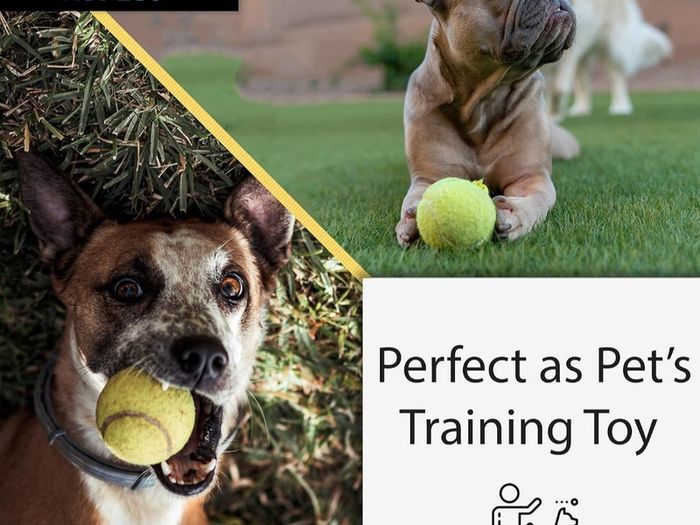 12 Practice Tennis Balls, Pressure less Training Exercise Tennis Balls with Easy Transport bag, Soft Rubber Tennis Balls Perfect for Beginners Training Lessons Pet Dog Playing Balls