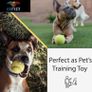 12 Practice Tennis Balls, Pressure less Training Exercise Tennis Balls with Easy Transport bag, Soft Rubber Tennis Balls Perfect for Beginners Training Lessons Pet Dog Playing Balls Image 7