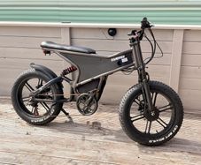 Randride 500w twin motor