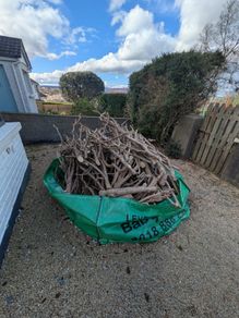 Free Wood from Hedge