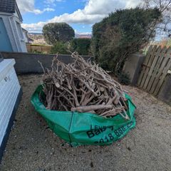 Free Wood from Hedge