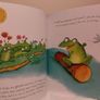 Frog On The Log Story Book Image 5