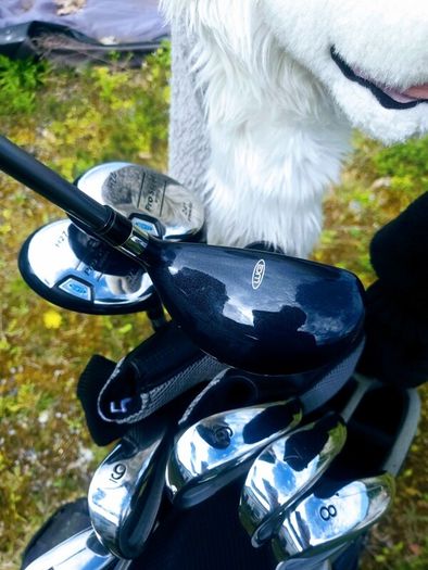 Set of Ladies Golf Clubs