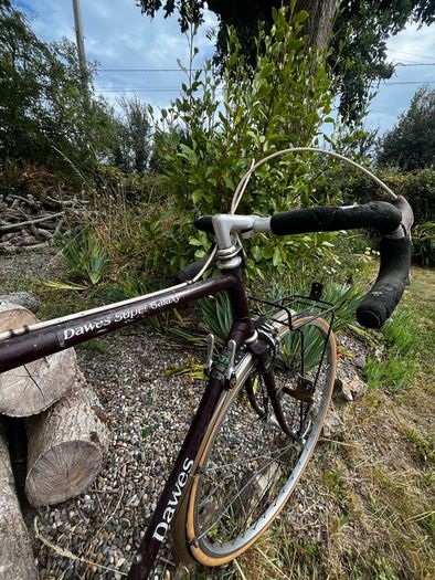 Dawes Super Galaxy Bike