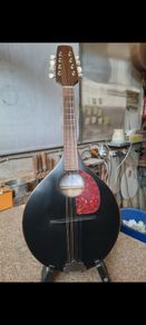 Handmade Beginnner Mandolin