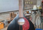 Handmade Beginnner Mandolin