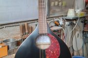 Handmade Beginnner Mandolin