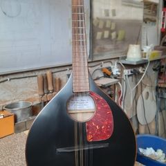 Handmade Beginnner Mandolin