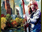 Rory Gallagher-In Central Park 1974-poster print