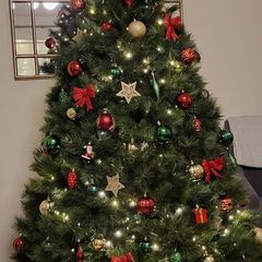 Christmas Tree (Nebraska 7Ft)