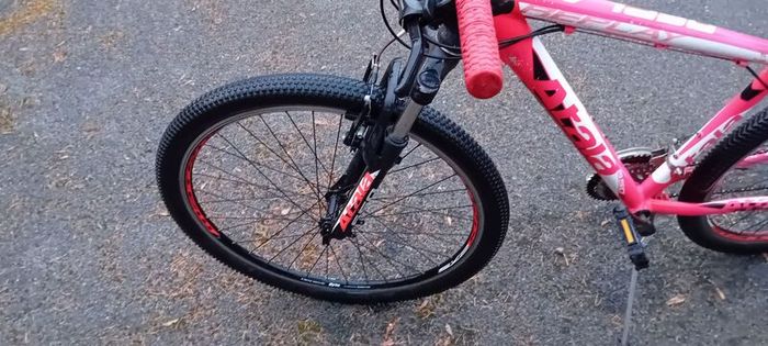 Bargin Mountain Bike
