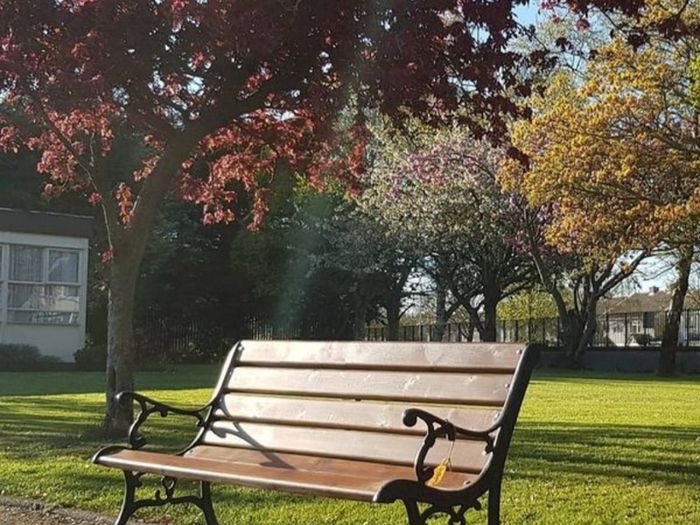 Garden Benches (Delivery Available)