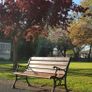 Garden Benches (Delivery Available) Image 4