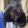 Black Bear Super Soft Teddy Image 4