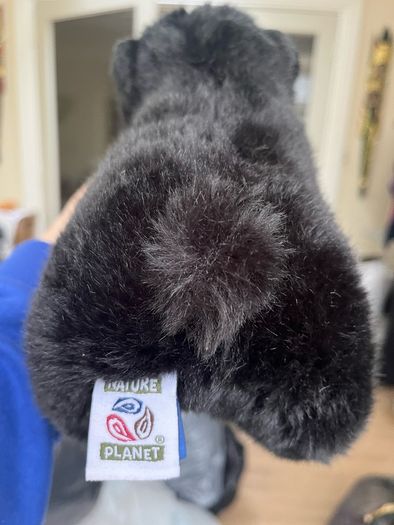Black Bear Super Soft Teddy
