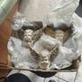 8 Cherub Angel Resting On Hands Wall Sculpture ,At 12.00 Euro EACH. Image 7