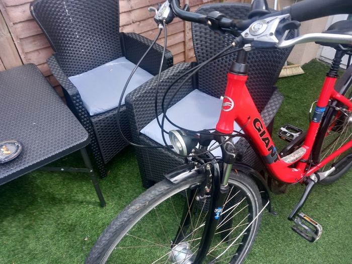 ladies bike