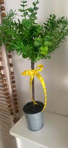 ShabbyChic Plantandc2 Decorative Balls