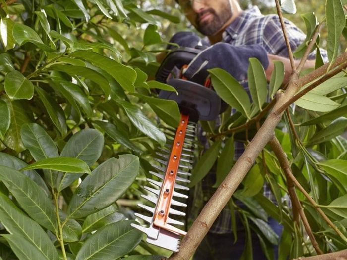 Hedge Trimmer 60cm 600W Corded with Saw Blade (FREE POATAGE)