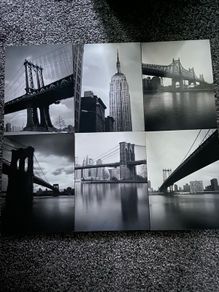 mounted photos