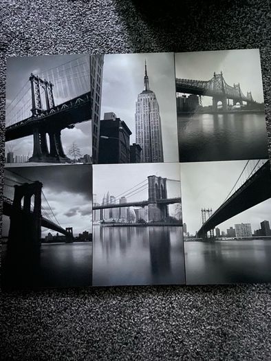 mounted photos
