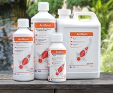 NT Labs Koi Care Acriflavin