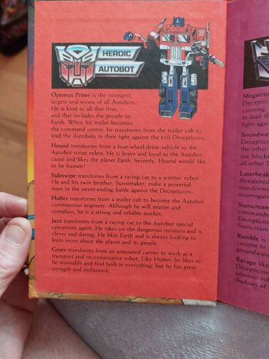 Transformers Vintage Ladybird (Pr 349)