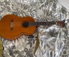 Acoustic Guitar