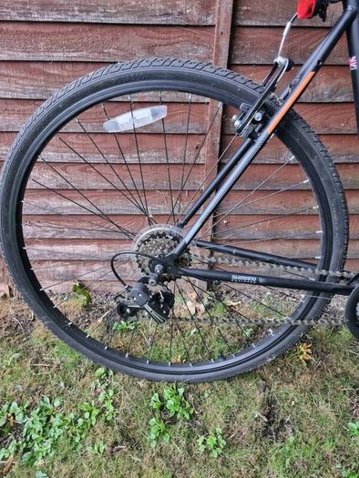 Adult Bike