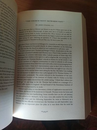Rosminians: Their Irish Story