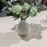 Round plant pot Image 7